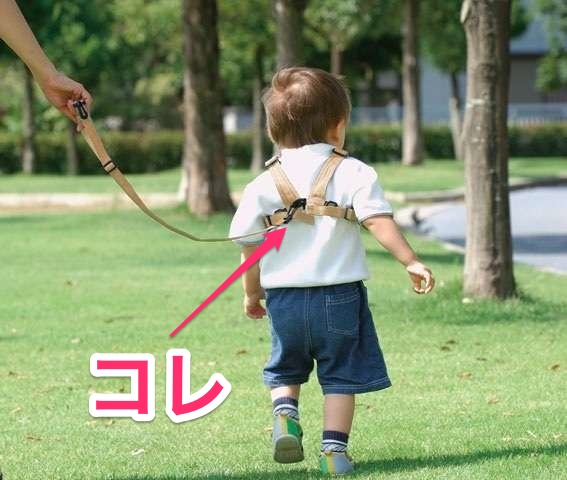 子供用の首輪（ハーネス）に賛成する人、反対する人、どっちもアホ