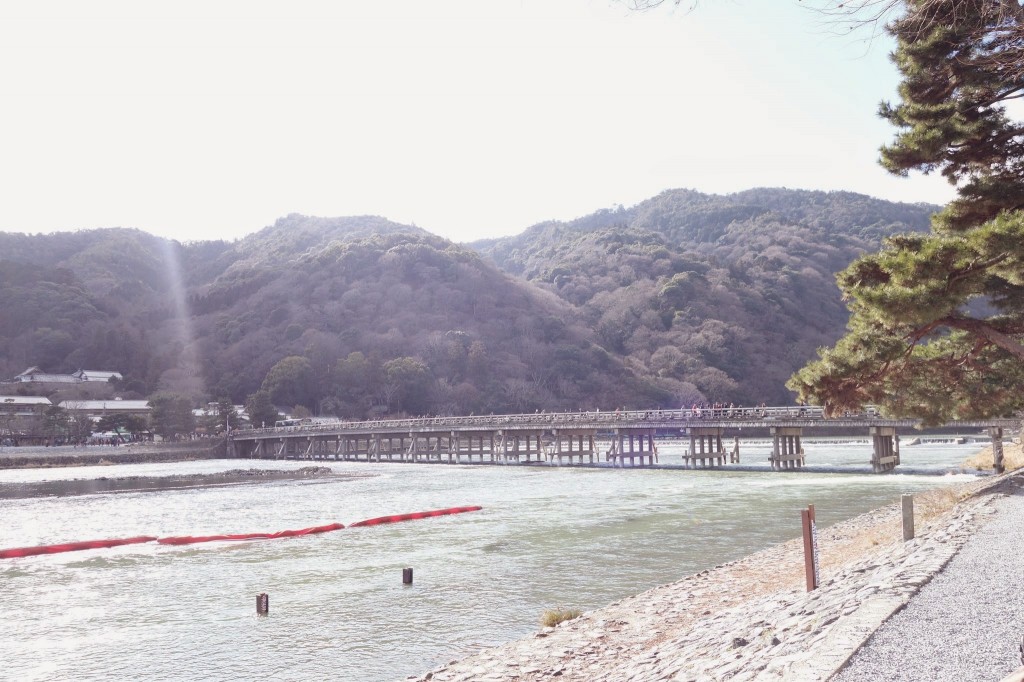 京都嵐山　観光日帰り旅行　渡月橋と竹林と超おすすめのモンキーパーク編