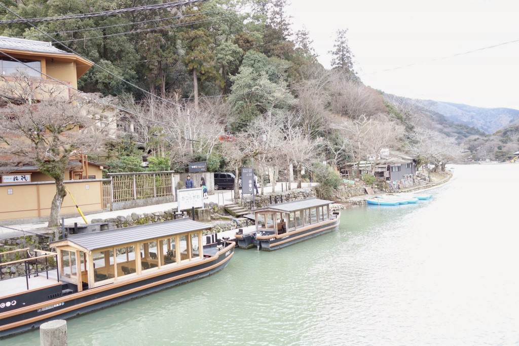 京都嵐山　観光日帰り旅行　渡月橋と竹林と超おすすめのモンキーパーク編