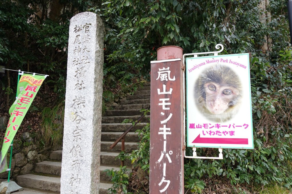 京都嵐山　観光日帰り旅行　渡月橋と竹林と超おすすめのモンキーパーク編