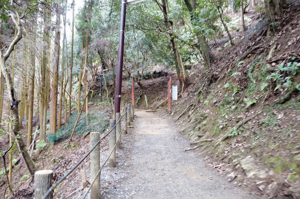 京都嵐山　観光日帰り旅行　渡月橋と竹林と超おすすめのモンキーパーク編