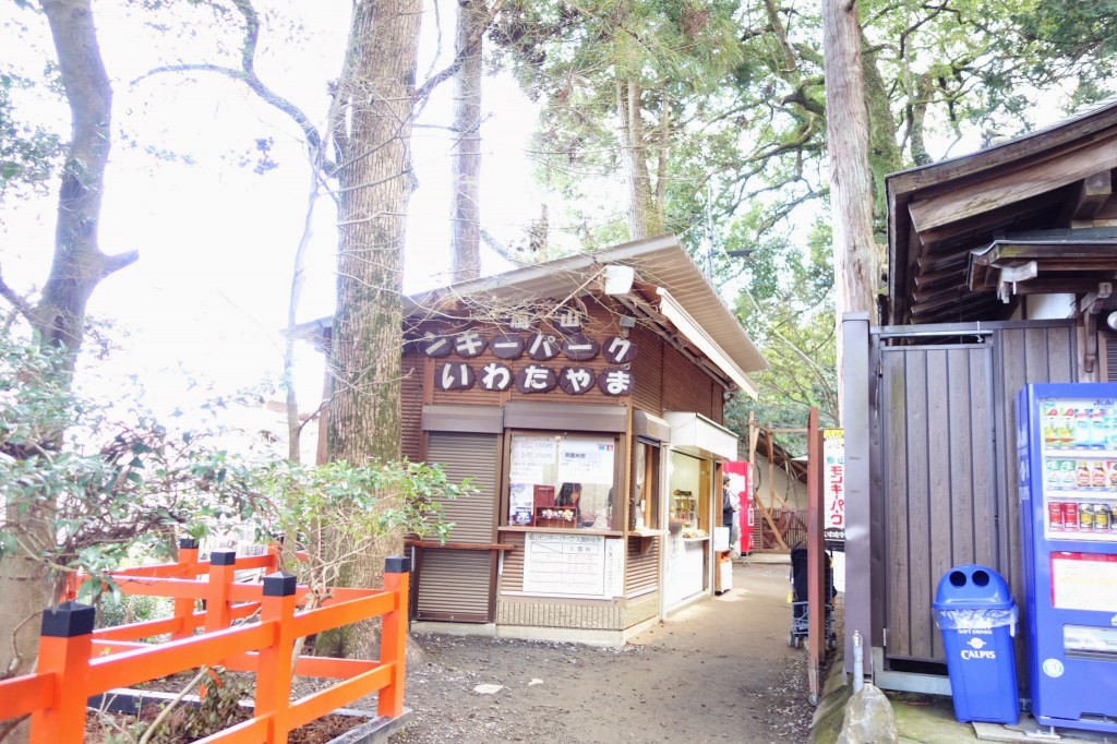 京都嵐山　観光日帰り旅行　渡月橋と竹林と超おすすめのモンキーパーク編