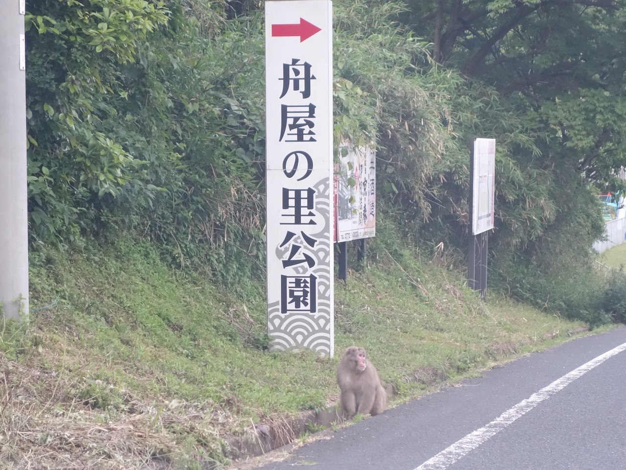 最高に憧れる！伊根の舟屋群がかっこよすぎる！