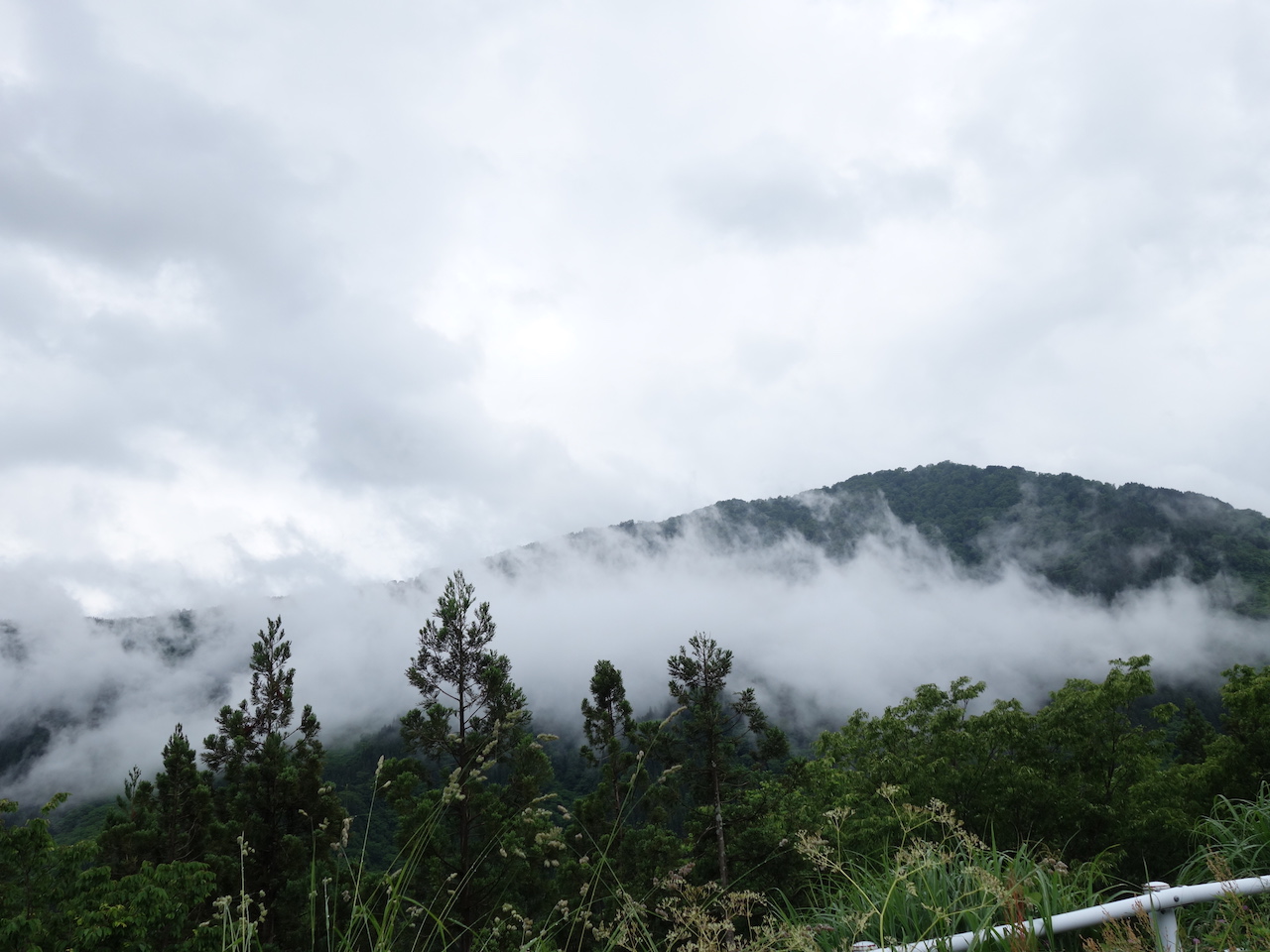 合掌造り集落の聖地白川郷へいざ行かん！と思ったら途中にあった相倉集落がたまらん絶景！