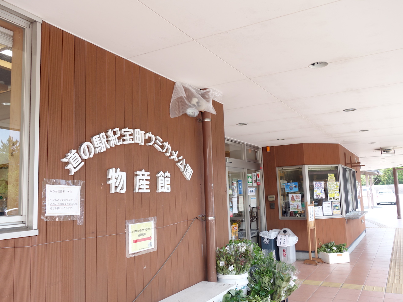 車中泊の旅に疲れたら道の駅「紀宝町ウミガメ公園」で癒されよう