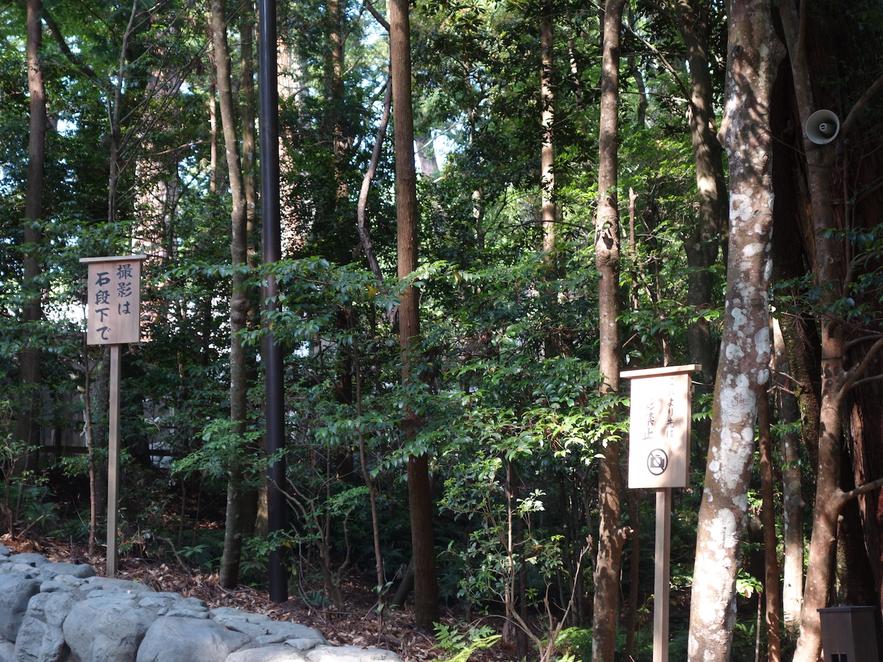 三重なら伊勢神宮は外せません！おかげ横丁で冷しそば食べたよ