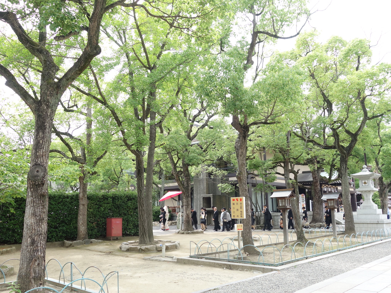 大都会神戸！ムリヤリ最後の観光スポットにした湊川神社で結婚式してたよ！