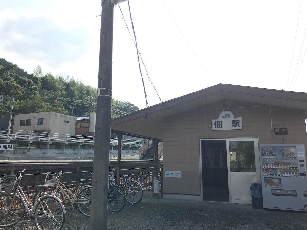 琴平から徳島へ！伝説の秘境駅「坪尻駅」で見事なスイッチバック停車を見た